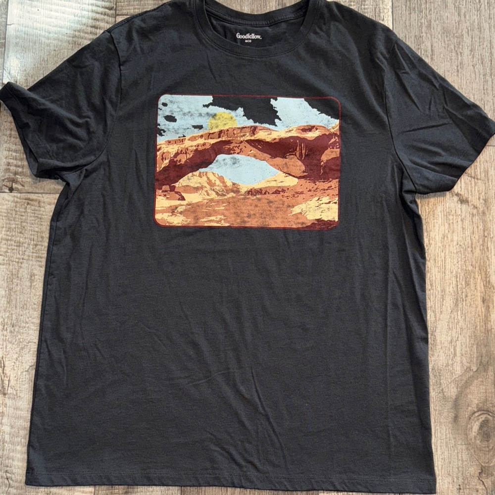 Goodfellow & Co Charcoal Scenic Print T-Shirt-size L
